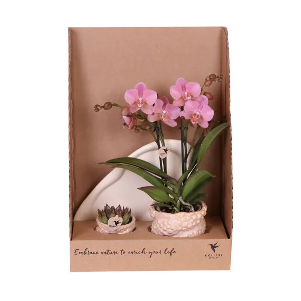 BOTANICAL GIFTSET SMALL  CORAL REEF