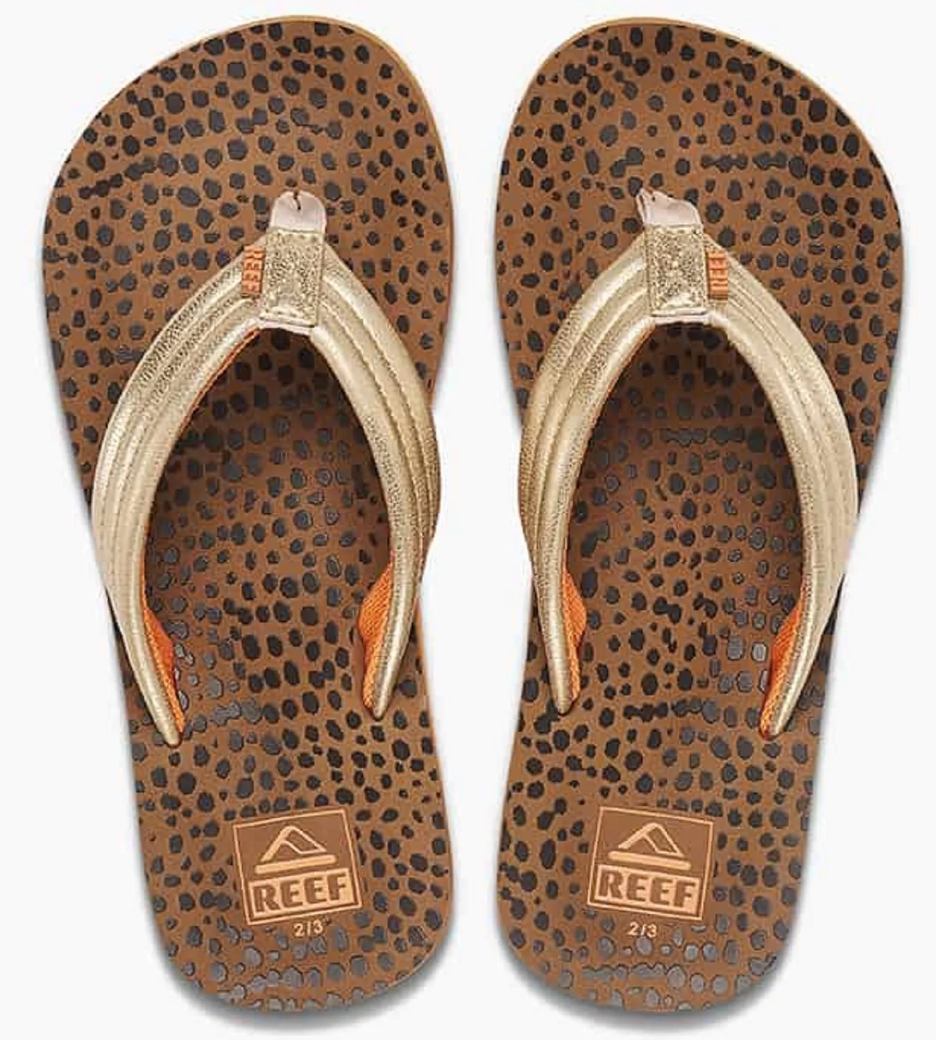 Slipper Reef Kids Ahi Wild